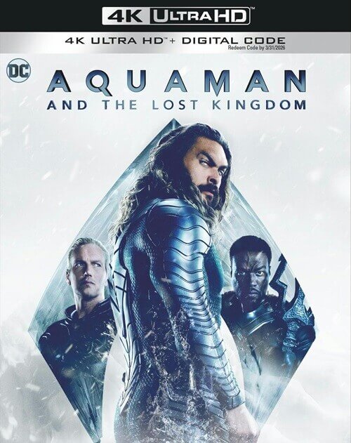 Аквамен и потерянное царство / Aquaman and the Lost Kingdom (2023) BDRemux 2160p от селезень | 4K | HDR | Dolby Vision Profile 8 | D, P