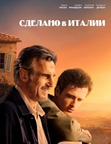 Сделано в Италии / Made in Italy (2020) BDRip 720p от селезень | GER Transfer | iTunes