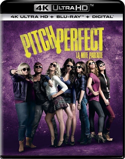 Постер к фильму Идеальный голос / Pitch Perfect (2012) UHD BDRemux 2160p от селезень | 4K | HDR | D