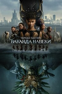 Чёрная Пантера: Ваканда навеки / Black Panther: Wakanda Forever (2022) UHD BDRemux 2160p от селезень | 4K | HDR | D, P