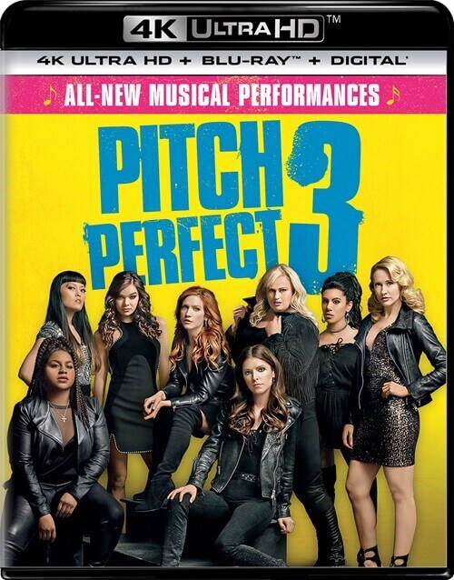 Постер к фильму Идеальный голос 3 / Pitch Perfect 3 (2017) UHD BDRemux 2160p от селезень | 4K | HDR | D | Лицензия