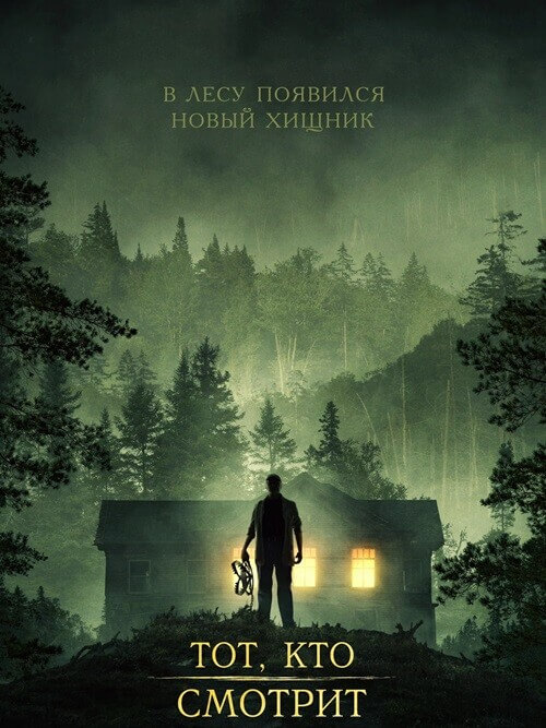 Постер к фильму Тот, кто смотрит / Stranger in the Woods (2024) WEB-DLRip-AVC от DoMiNo & селезень | D