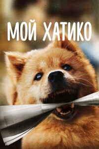 Мой Хатико / Hachiko / Zhong quan ba gong (2023) BDRip-AVC от DoMiNo & селезень | D