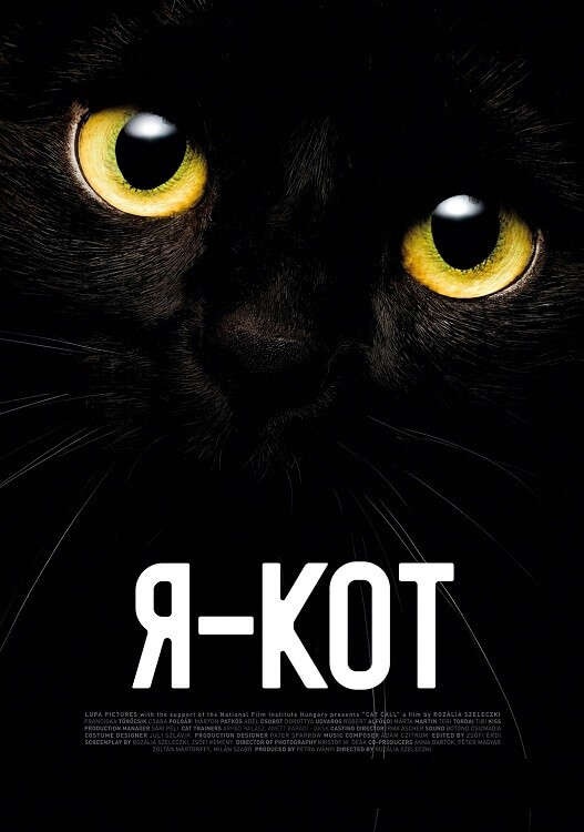 Я - кот / Cicaverzum (2023) WEB-DLRip 720p от DoMiNo & селезень | D